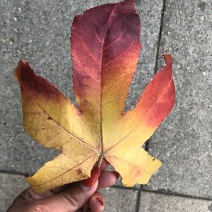 Meet your Posher, Tecla